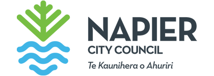 napier council logo